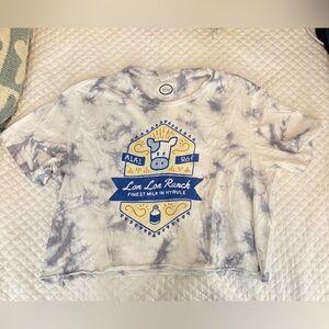 Legend of Zelda Lon Lon Ranch Graphic Tee - Blue and White